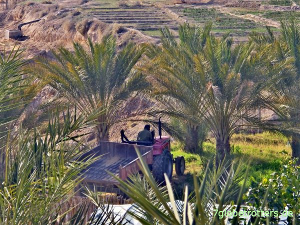 Baggerarbeiten und Erdtransport in der Bergoase Mides Tunesien Baggerarbeiten und Erdtransport in der Bergoase Mides Tunesien