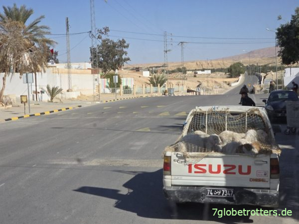 Isuzu Pick-up in der Bergoase Tamerza Tunesien Isuzu Pick-up in der Bergoase Tamerza Tunesien