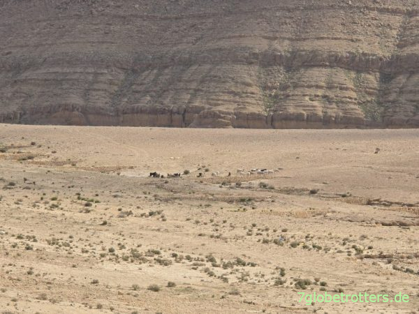 Schlucht der Bergoase Mides Tunesien Schlucht der Bergoase Mides Tunesien