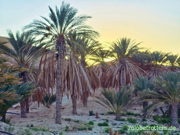 Sonnenuntergang in der Bergoase Midès