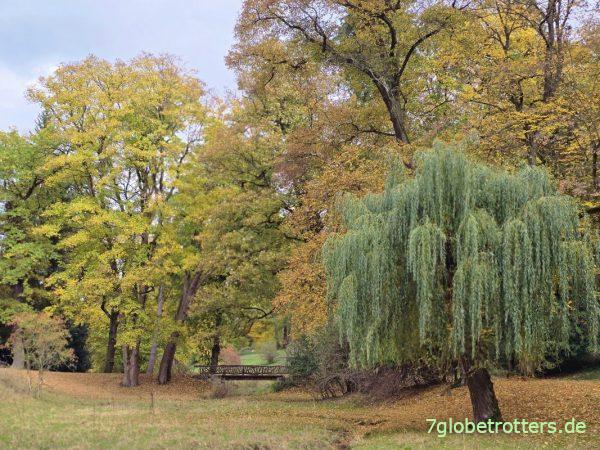 Brücke im Schlosspark Belvedere Weimar am 3-Türme-Weg