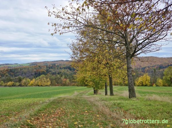 Herbstwanderung über den Thüringer 3-Türme-Weg
