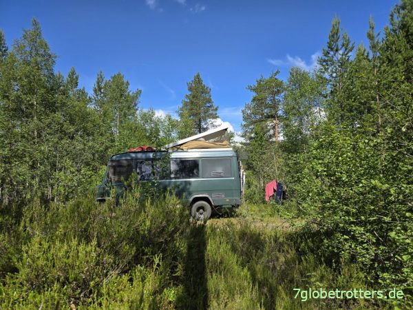 Mercedes 711D im Wald des Bjørndalen Mercedes 711D im Wald des Bjørndalen