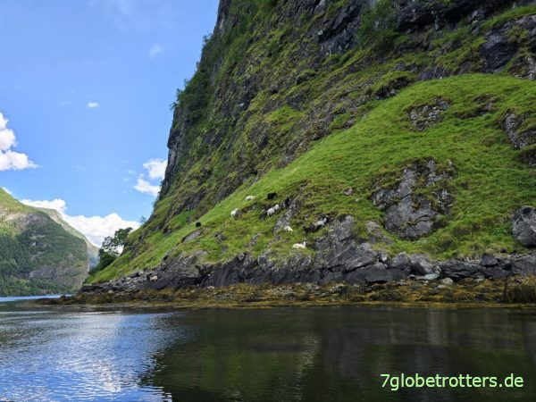 Südliche Ecke zwischen Nærøyfjord und Aurlandsfjord Südliche Ecke zwischen Nærøyfjord und Aurlandsfjord