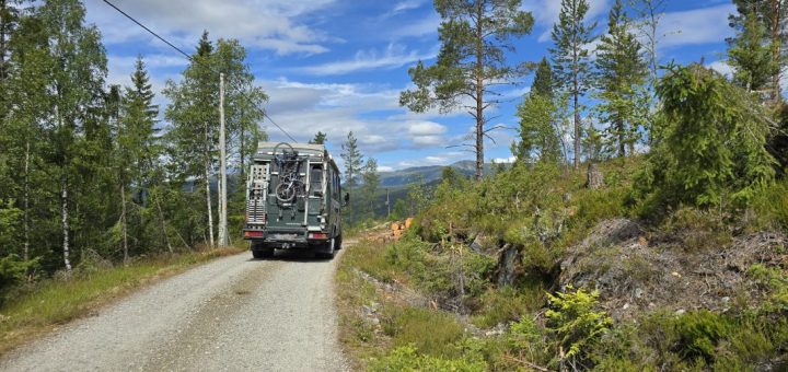 Waldpisten in Norwegen