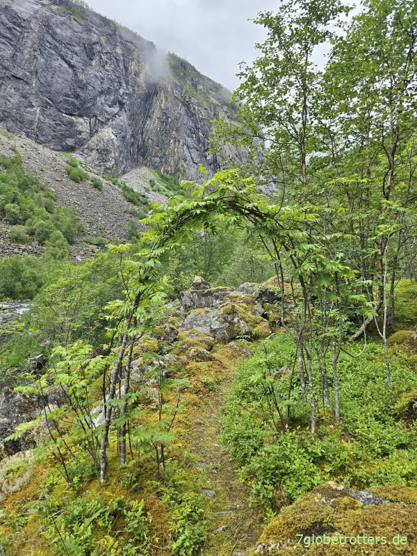 Wanderpfad zum Vøringsfossen Wanderpfad zum Vøringsfossen