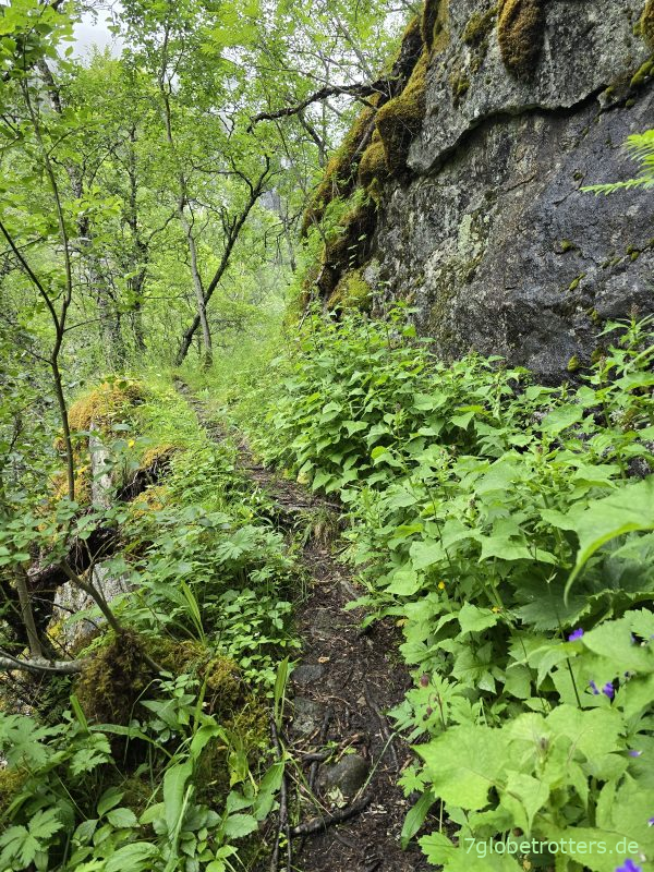 Wanderung zum Vøringsfossen Wanderung zum Vøringsfossen