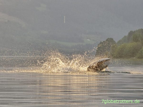 SUP-Spa&szlig; am Mj&oslash;sa-See
