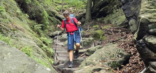 Test Carbonwanderstöcke von Leki