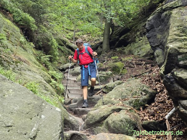 Test Carbonwanderstöcke von Leki