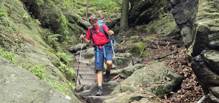 Test Carbonwanderstöcke von Leki